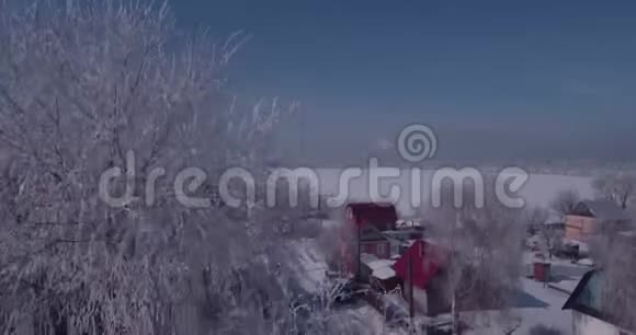 在农村的一棵冻树顶上看到白色的霜冻飞越树梢4K视频的预览图