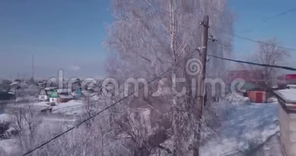 在农村的一棵冻树顶上看到白色的霜冻飞越树梢4K视频的预览图