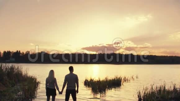 夕阳西下的河边令人惊叹的天空年轻夫妇的剪影牵着手看着每一个人视频的预览图