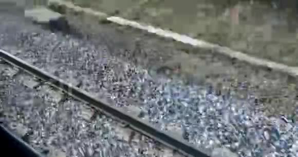 从火车的窗户看到铁轨视频的预览图