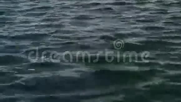 海水用作背景视频的预览图