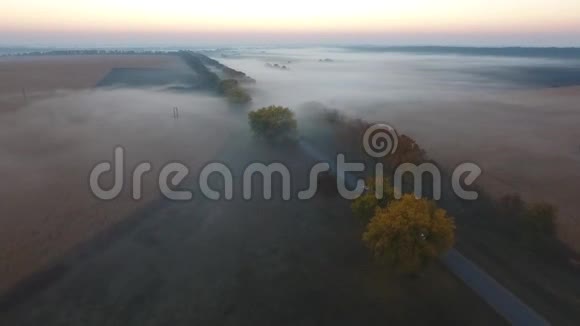 农场和陆地日落覆盖在雾中鸟瞰视频的预览图