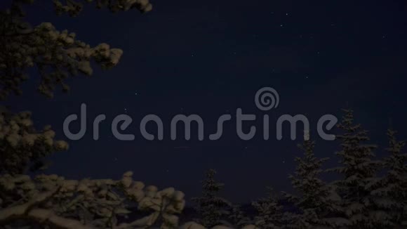 白雪皑皑的冬季云杉树林满天繁星拍摄星星延时视频高清视频的预览图