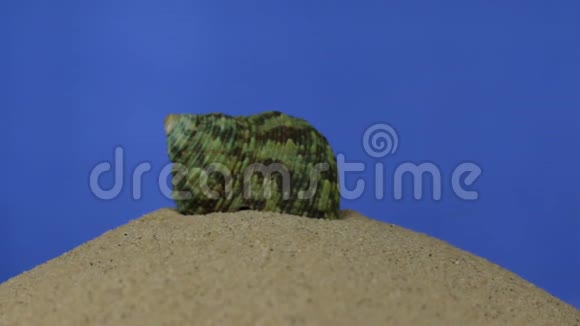 旋转美丽的贝壳躺在沙滩上孤立视频的预览图