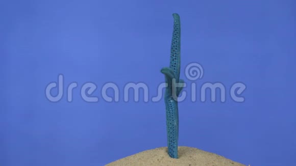 在沙子上旋转蓝色海星孤立视频的预览图