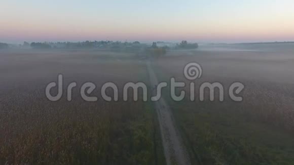 农场房屋和陆地太阳落山覆盖在雾中鸟瞰乌克兰视频的预览图