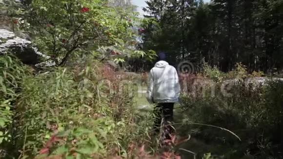 年轻孤独的人在茂密的植被和灌木丛中深入森林录像从后面走的人的视野视频的预览图