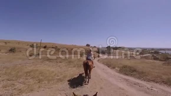 骑在马背上的一个个骑着一个又一个的骑在灌木丛中的小路上视频的预览图