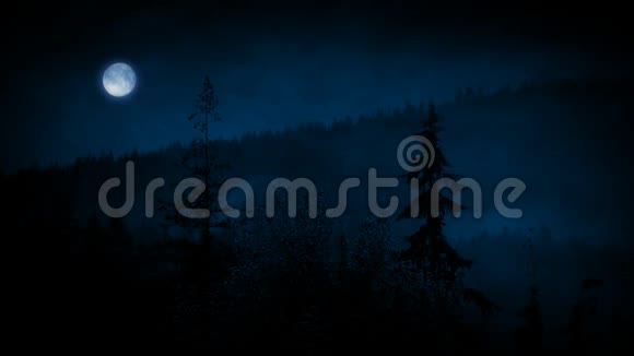夜晚透过薄雾的森林树木视频的预览图