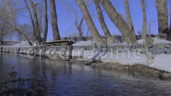 河岸上平静的小溪视频的预览图