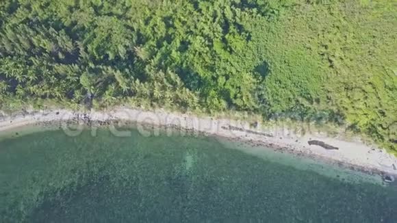 全景观绿松石海洋海岸植物视频的预览图