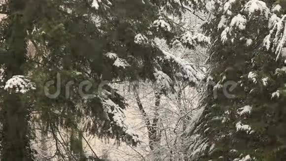 大雪纷飞视频的预览图