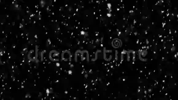黑色的大雪视频的预览图