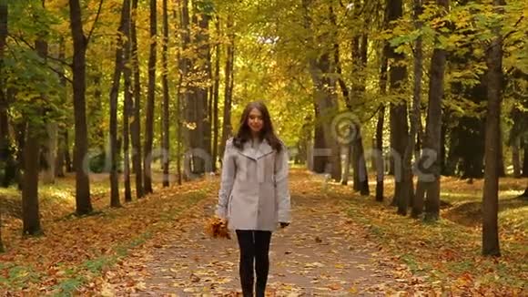 快乐的女孩带着一束黄叶走在公园里把叶子扔了起来视频的预览图