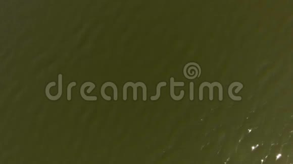 蓝天湖景秋林视频的预览图