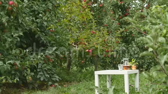 女人在苹果的背景下从罐子里倒果汁视频的预览图