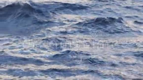 海鸥飞过蓝水背景库存海鸥飞过大海视频的预览图