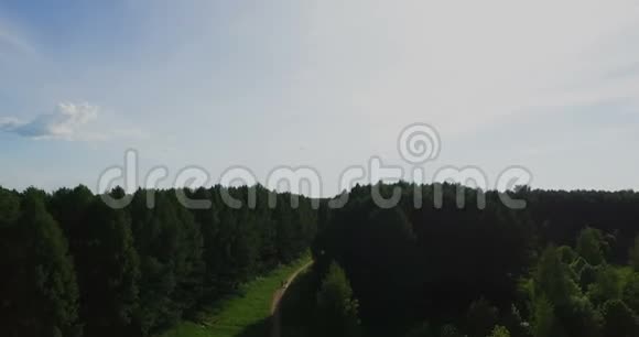 空中观景台飞过美丽的森林树木空中摄影机拍摄景观全景视频的预览图