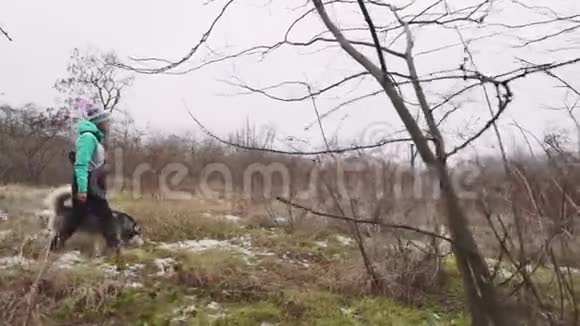 冬天年轻漂亮的女人带着她的哈士奇狗在森林里散步慢动作视频的预览图