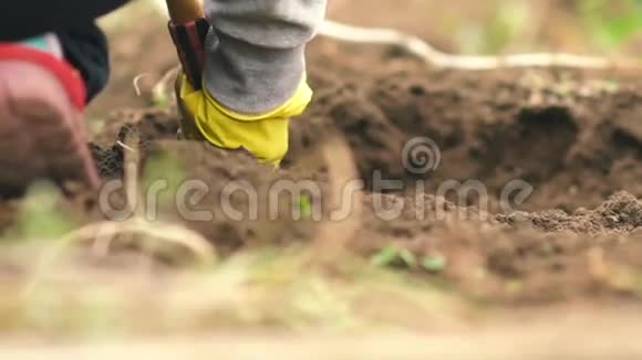 费默放松了地面花园田野犁地花园视频的预览图