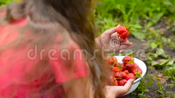 草莓红的熟的甜的选盘小姑娘含有维生素的膳食浆果视频的预览图