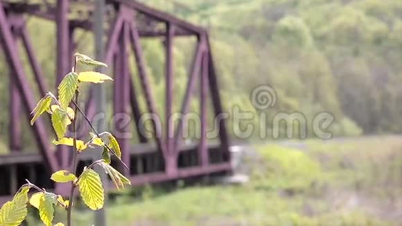 树和铁路桥梁视频的预览图