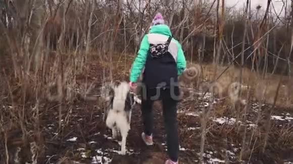 冬天年轻漂亮的女人带着她的哈士奇狗在森林里散步慢动作视频的预览图