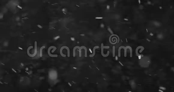 圣诞节真的是大雪纷飞大雪纷纷扬扬寒假的圣诞节与星星天衣无缝的黑色循环视频的预览图