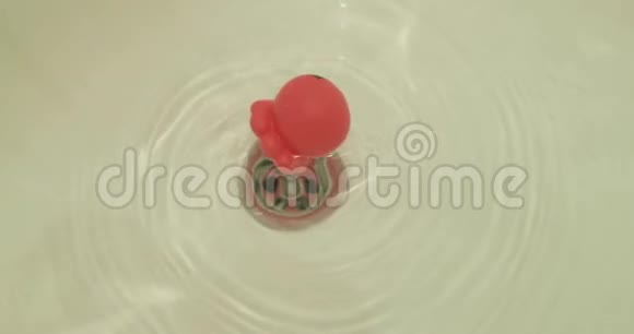 小橡胶玩具在淋浴间的虹吸管附近旋转视频的预览图