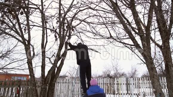 一个人爬上苹果树上的梯子视频的预览图