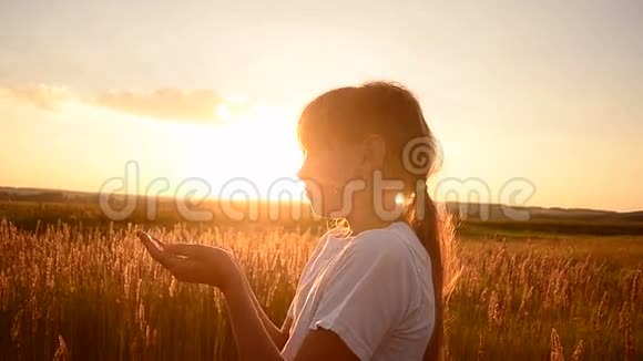 女孩在日落时打麦子视频的预览图