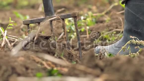 在花园里用叉子工作的人农夫用草叉挖花园健康营养的概念视频的预览图