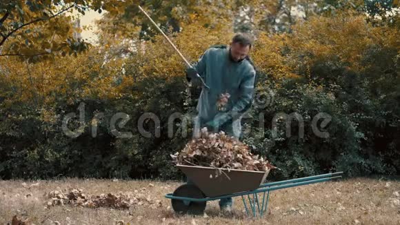 花园工人把干燥的树叶和树枝装到手推车上视频的预览图