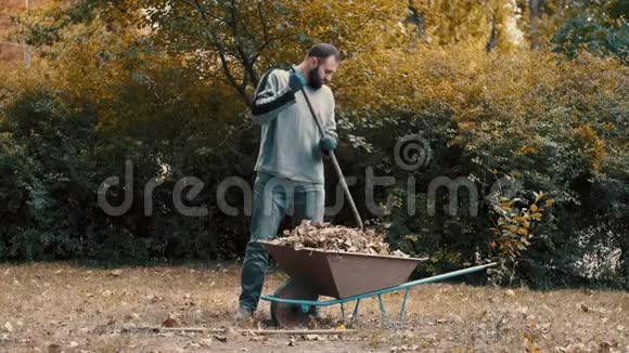 花园工人他是一个人把干树叶和树枝装在院子里的手推车上视频的预览图
