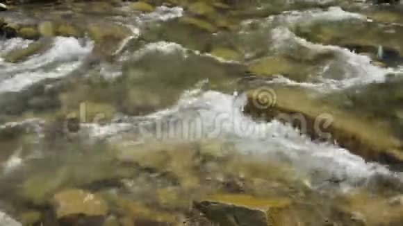 夏日美丽的山河特写黑谢尔莫什乌克兰快速流动的水和岩石视频的预览图