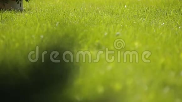 一个年轻的欧洲金发女孩在翠绿的草地上做一个花弧视频的预览图
