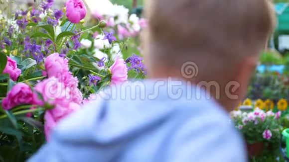 开花园花孩子沿着小路沿着花跑男孩在花园里玩快乐视频的预览图