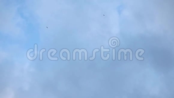 房子马丁斯在移动的云层中飞翔视频的预览图