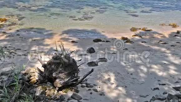 美丽的海景空旷的热带海滩被石头巨石环绕视频的预览图