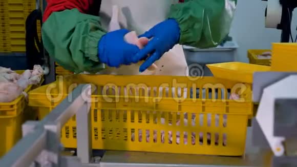 一个工人用两个生鸡腿安排单独的托盘视频的预览图