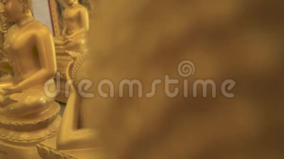 黄金巴达雕像的脸视频的预览图