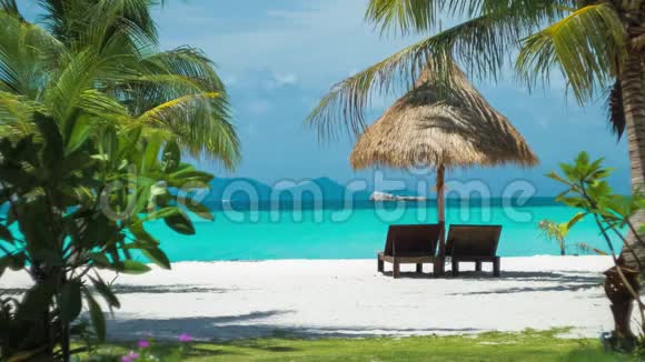 沙滩椅雨伞和沙滩棕榈做梦的样子泰国KohLipe岛亚洲视频的预览图