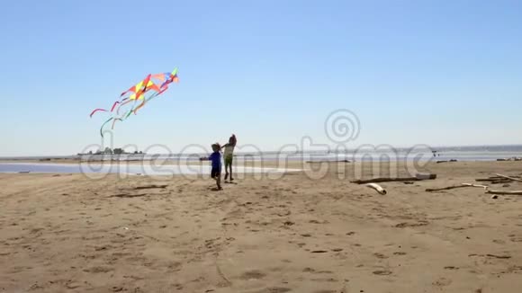 两个快乐的小男孩兄弟带着风筝在海滩上奔跑视频的预览图