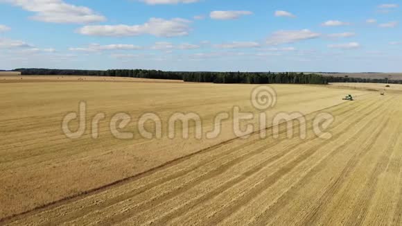 组合穿过田野移除小麦从上面看空中摄影视频的预览图
