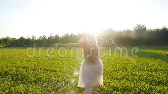 快乐的年轻女子在阳光明媚的秋日奔跑在草地上视频的预览图