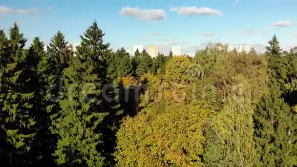 俄罗斯莫斯科被森林包围的睡眠区视频的预览图