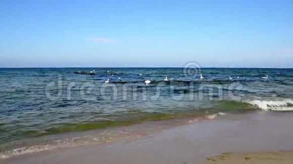 波罗的海地区视频的预览图