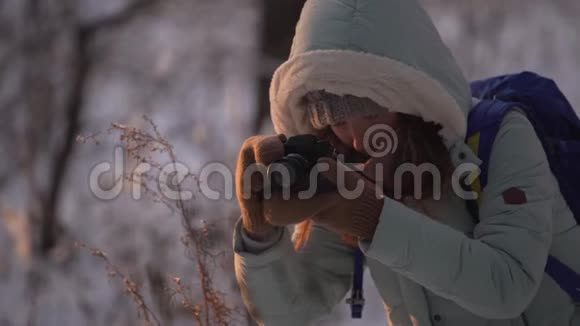 美丽的年轻女子穿着冬天的衣服手套和羊毛帽用针织相机拍摄雪林视频的预览图