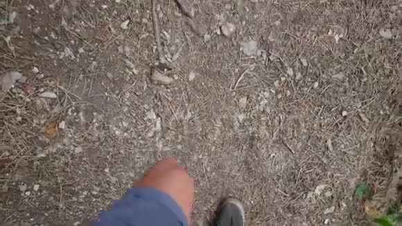 徒步旅行者在森林小径上行走时的观点活跃的生活方式高清慢镜头视频的预览图