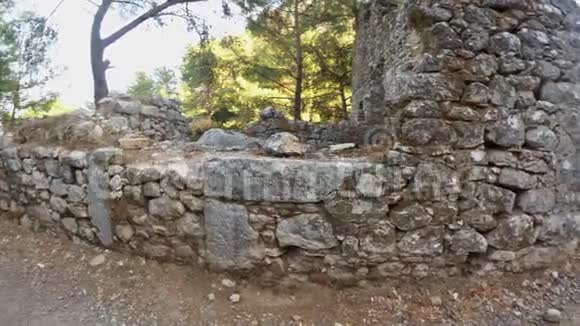 城市遗址中古城墙和针叶树的考古重建第5座山中的古物视频的预览图